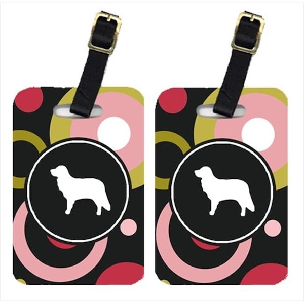 Carolines Treasures Carolines Treasures KJ1049BT Nova Scotia Duck Toller Luggage Tags - Pair Of 2 KJ1049BT - main